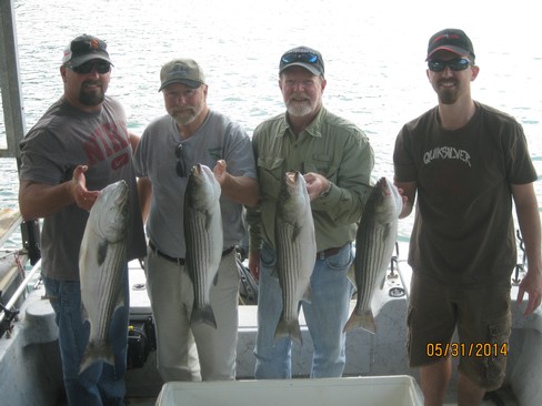 Nice Striped Bass